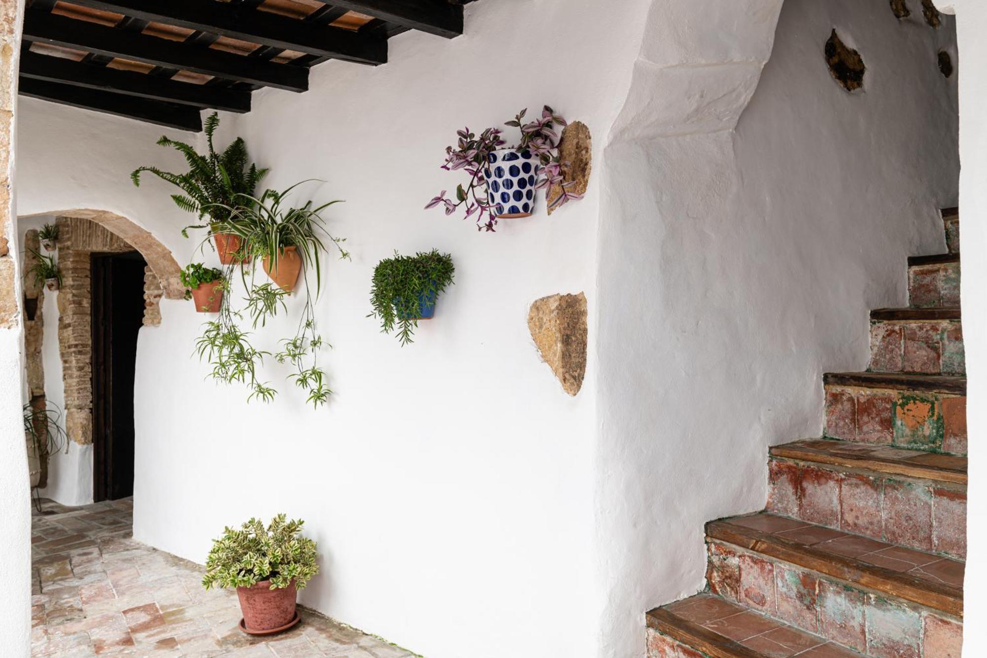 Casa Lunarito Vejer de la Frontera Ngoại thất bức ảnh
